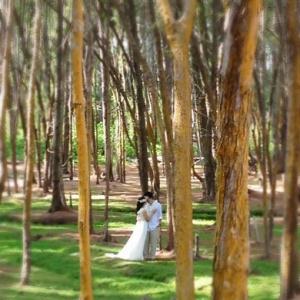 Ceremony Location - Waimanalo Beach, Hawaii - Oahu Wedding Venue 2